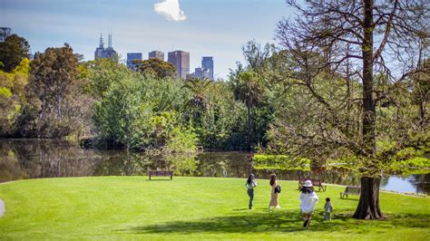 discover melbourne gardens royal botanic gardens victoria