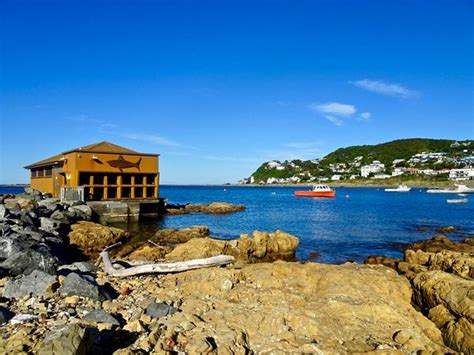 island bay wellington updated