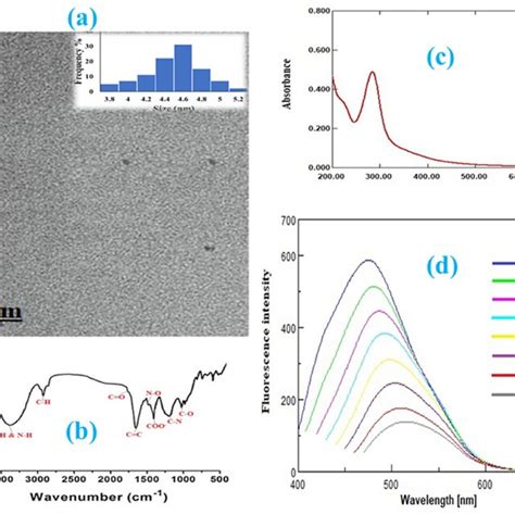 A Tem Image And Diameter Distribution Of N Cqds B Ftir Spectra Of