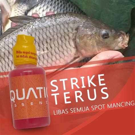 Jual Aquatic Essen Mancing Ikan Tombro Lomba Harian Kilo Gebrus Induk