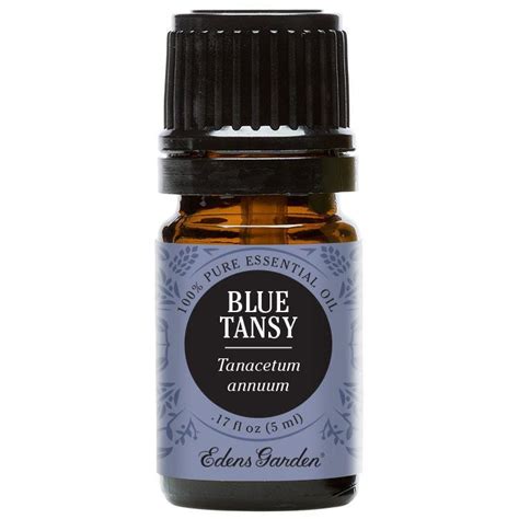 Blue Tansy Essential Oil Benefits – Plus Simple Recipes