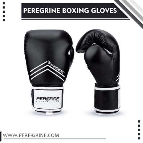 Boxing gloves for beginners - Peregrine Enterprises