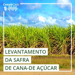 ConabCast Safra de cana de açúcar no país aponta produção menor para