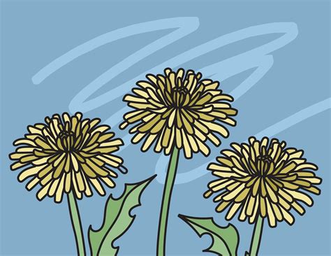 Dandelion Coloring Pages | Roaring Spork