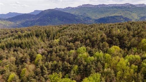 El Paisaje Natural De Burgos Conocido Como El «nueva York De Los