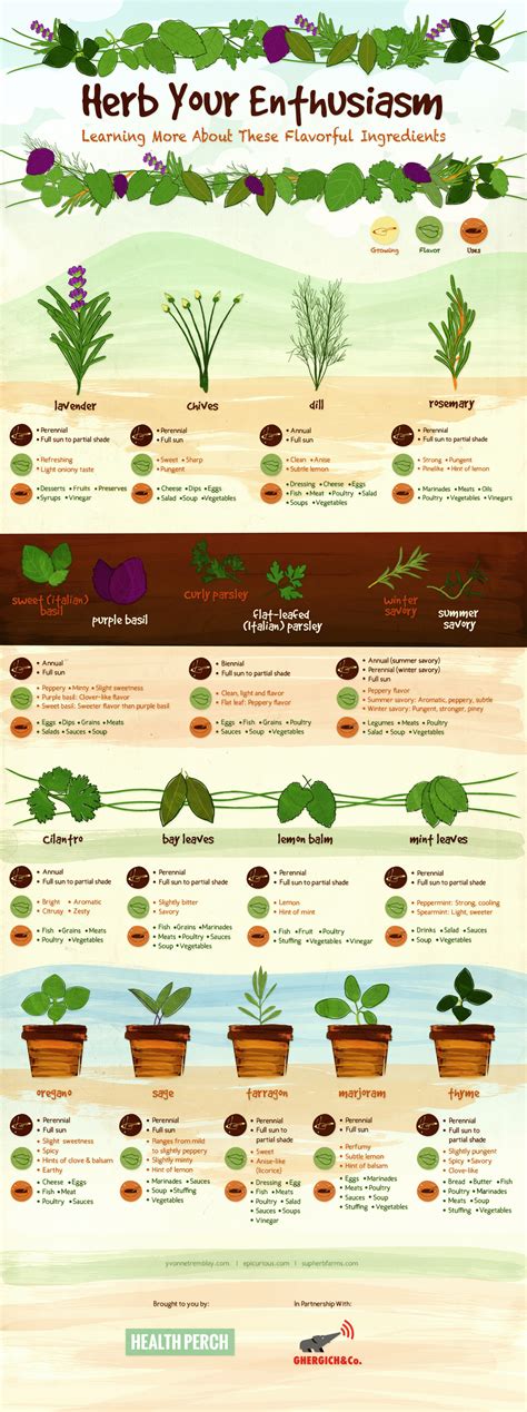 Herb Your Enthusiam Growing Your Own Herbs Their Flavors And Uses