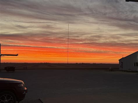 Puppies by Chance added a new photo. - Puppies by Chance