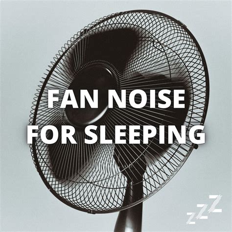 Fan Noise Box at George Ashcraft blog