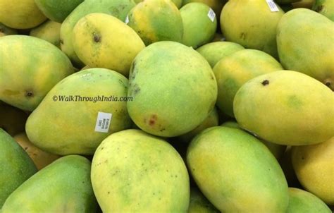 Top 12 Most Famous Varieties Of Indian Mangoes