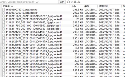 Linux服务器文件感染了locked1勒索病毒，请问如何联系你们恢复文件360社区