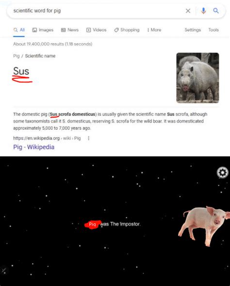 pigs are so sus : r/memes