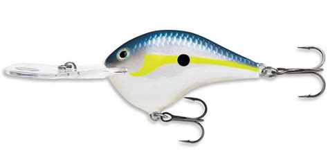 Poisson Nageur Rapala Dive To Dt Fish Ship