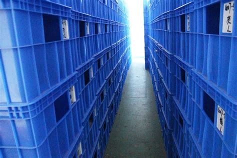 Wholesale Nude Junior Bikini Underwear Men S Sexy Swimwear