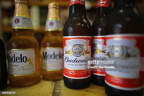 510 Modelo Beer Photos & High Res Pictures - Getty Images