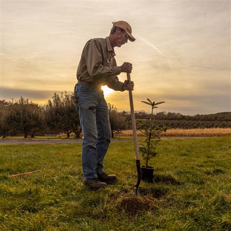 Arbor Day Foundation Website Tree Planting - Debbie Gwendolen