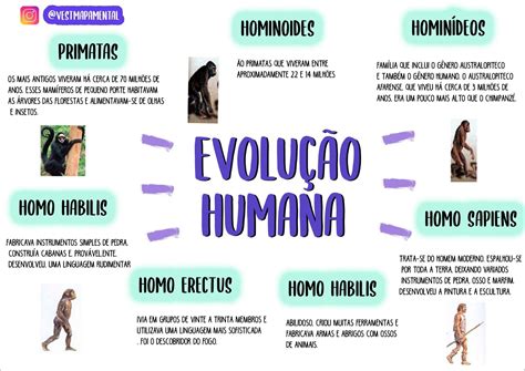 Mapas Mentais sobre Homo Habilis - Mapa 10