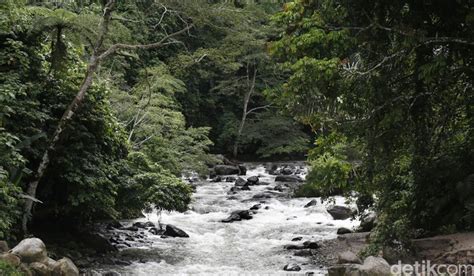 jenis pola aliran sungai  penjelasannya