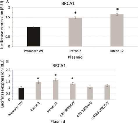 A Impact Of Different Intronic Variants On BRCA1 Promoter Activity