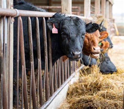Pickaway County Farm Bureau - The Pickaway County Farm Bureau was well
