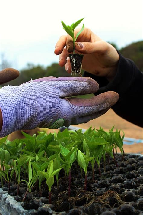 Sustainable Agriculture The Environmental Impact Of Farming