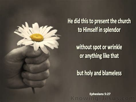 Ephesians 527 That He Might Present To Himself The Church In All Her