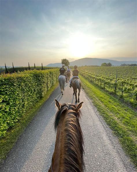 Passeggiata A Cavallo Tra I Vigneti Della Franciacorta Holidoit