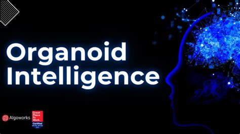 What Is Organoid Intelligence Oi Algoworks Youtube