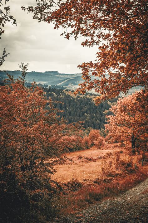 Images Gratuites ciel la nature arbre Paysage naturel végétation