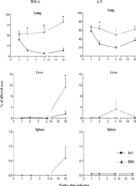 Quantitative Histological Analysis Of Lesions In The Lungs Liver And