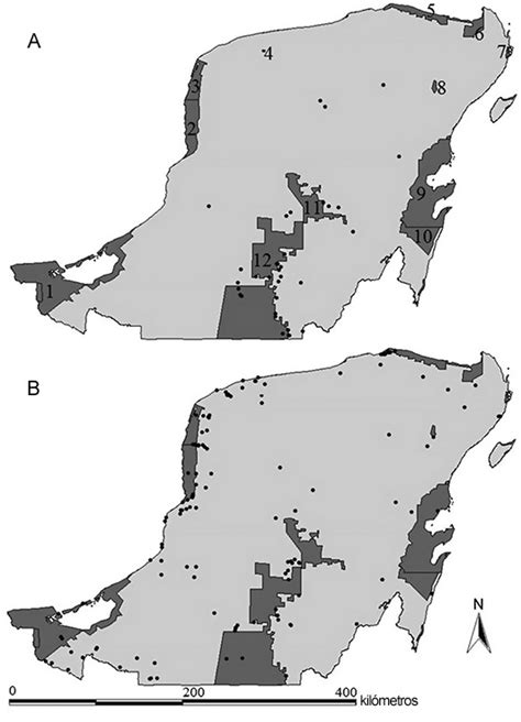 Registros De Haematoxylum Calakmulense Cruz Dur N M Sousa A Y