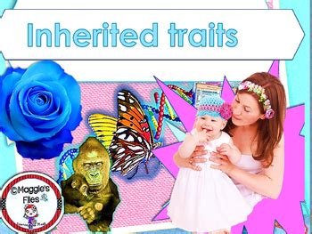 Inherited Traits by Maggie's Files | Teachers Pay Teachers