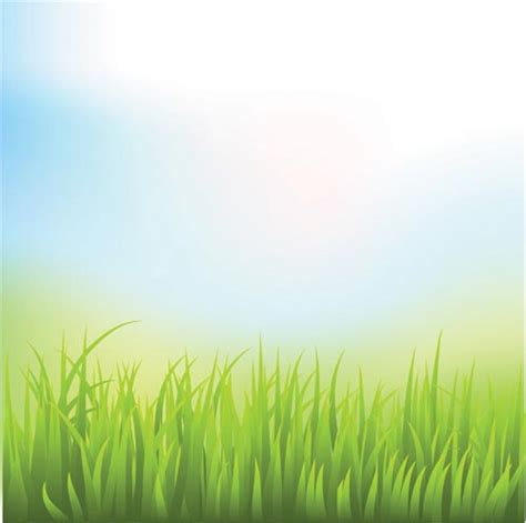 Green Grass Vector Templates