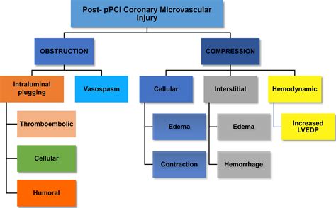 Coronary Microvascular Injury in Reperfused Acute Myocardial Infarction ... 