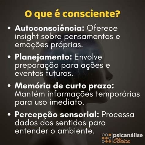 O Que É O Consciente - O que é Consciente em psicanálise e psicologia - Psicanálise Clínica