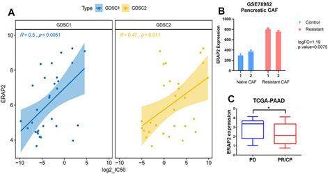 Erap As A Potential Biomarker For Predicting Gemcitabine Response In