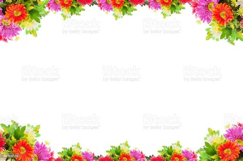 bingkai bunga foto stok  gambar  close  daun