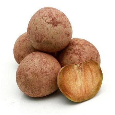 fresh sapota  kilogram yerawada pune id