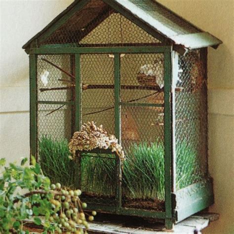 Button Quail Cages