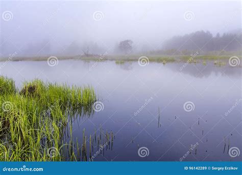 Landscape with Lake in the Morning As Nature Background Beauty ...