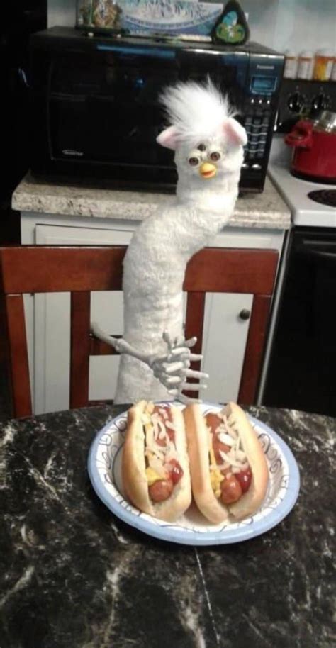 20 Hilarious Cursed Images That Will Creep You Out