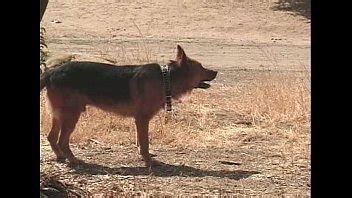 Metro Just Great Sex Vol Scene Extract XVIDEOS