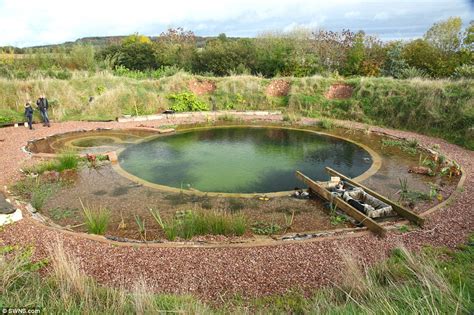 The Environmentally Friendly ‘swimming Ponds Sweeping The Globe