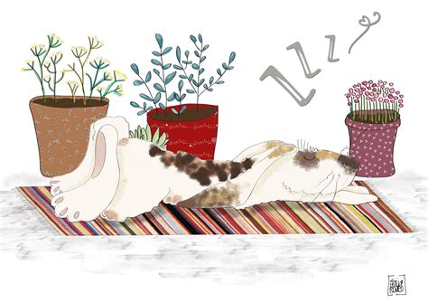 Ma se io tentassi...?!: Ruggì