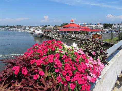 11 Interesting And Beautiful Places To Visit in Delaware