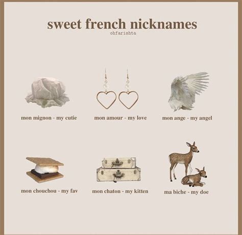 Pin By Vera Baldwin On French Language In Cute French Words