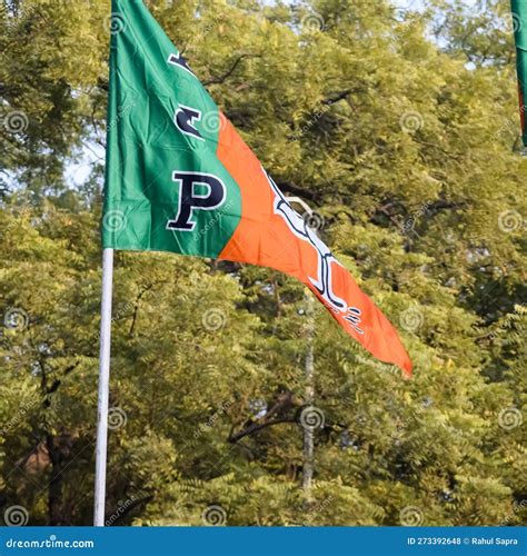 Bharatiya Janata Party Flag of Indian Political Party, BJP Bhartiya ...