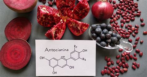 O Que É Antocianinas - Antocianinas: ¿Qué Son Y Cómo Se Relacionan Con La Salud Cardiovascular ...