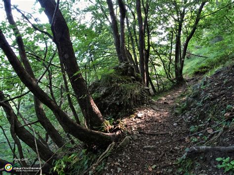 Bing Bench 128 Monte Corno Pizzo Rabbioso 20ag21 33 Nel Bosco Di