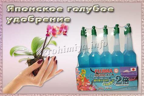 Удобрение для орхидей: инструкция, применение, отзывы, фото