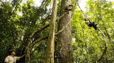 Disfruta de lo mejor de Iquitos con esta ruta de 3 días VAMOS EL